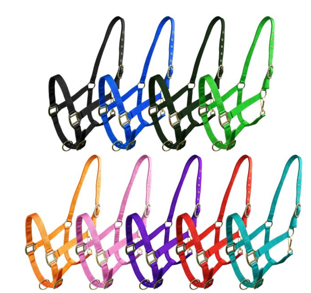 Horse Size Triple Ply Nylon Halter with Brass Hardware