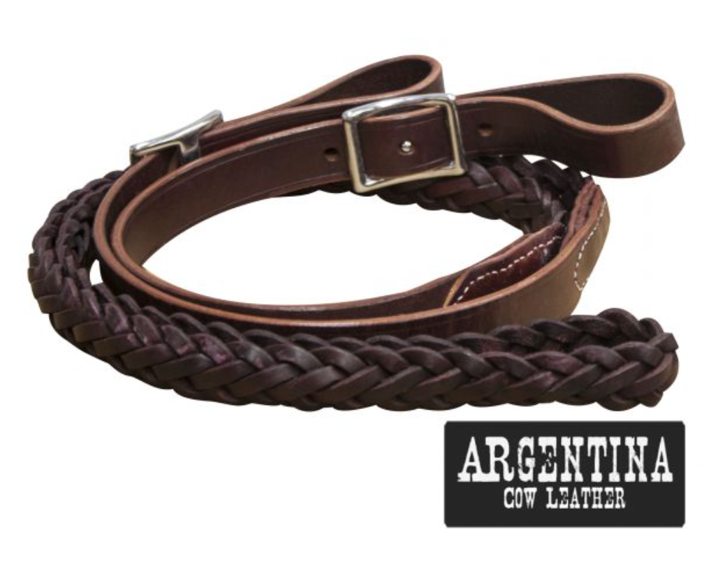 Reins