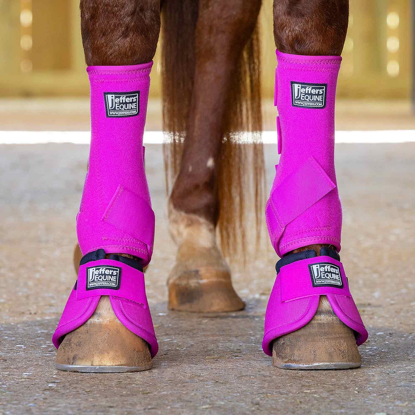 Jeffers Protective Horse Boots, Solid Colors - FRONT ONLY