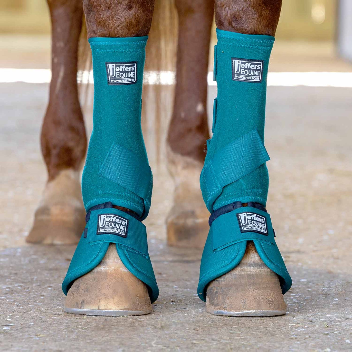 Jeffers Protective Horse Boots, Solid Colors - FRONT ONLY