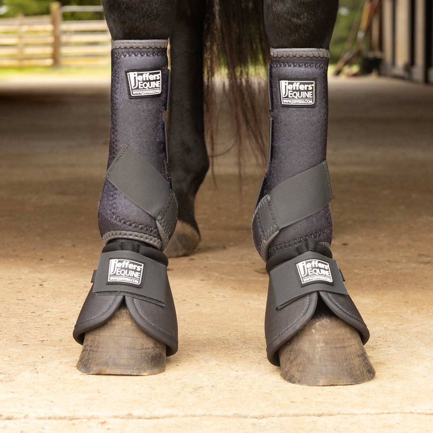 Jeffers Protective Horse Boots, Solid Colors - FRONT ONLY
