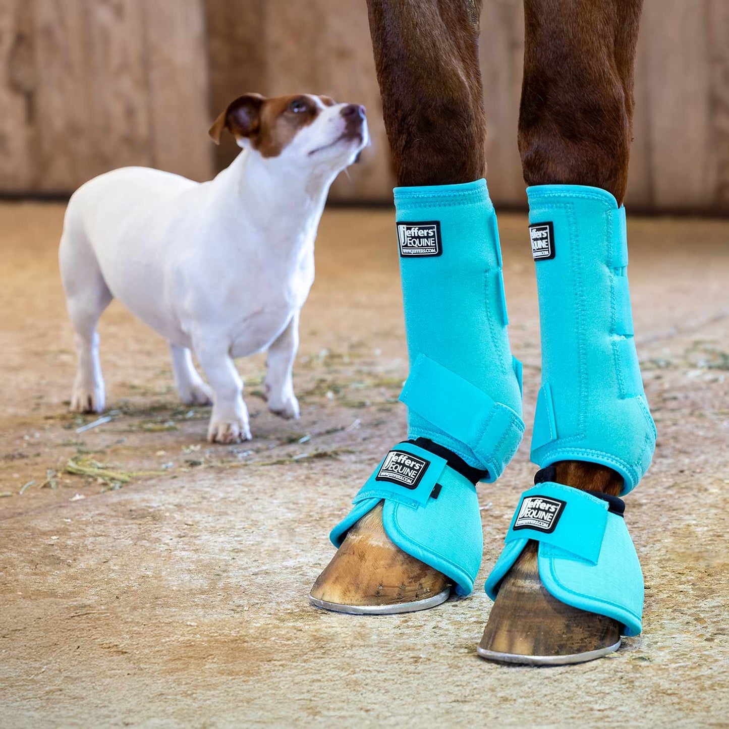 Jeffers Protective Horse Boots, Solid Colors - FRONT ONLY