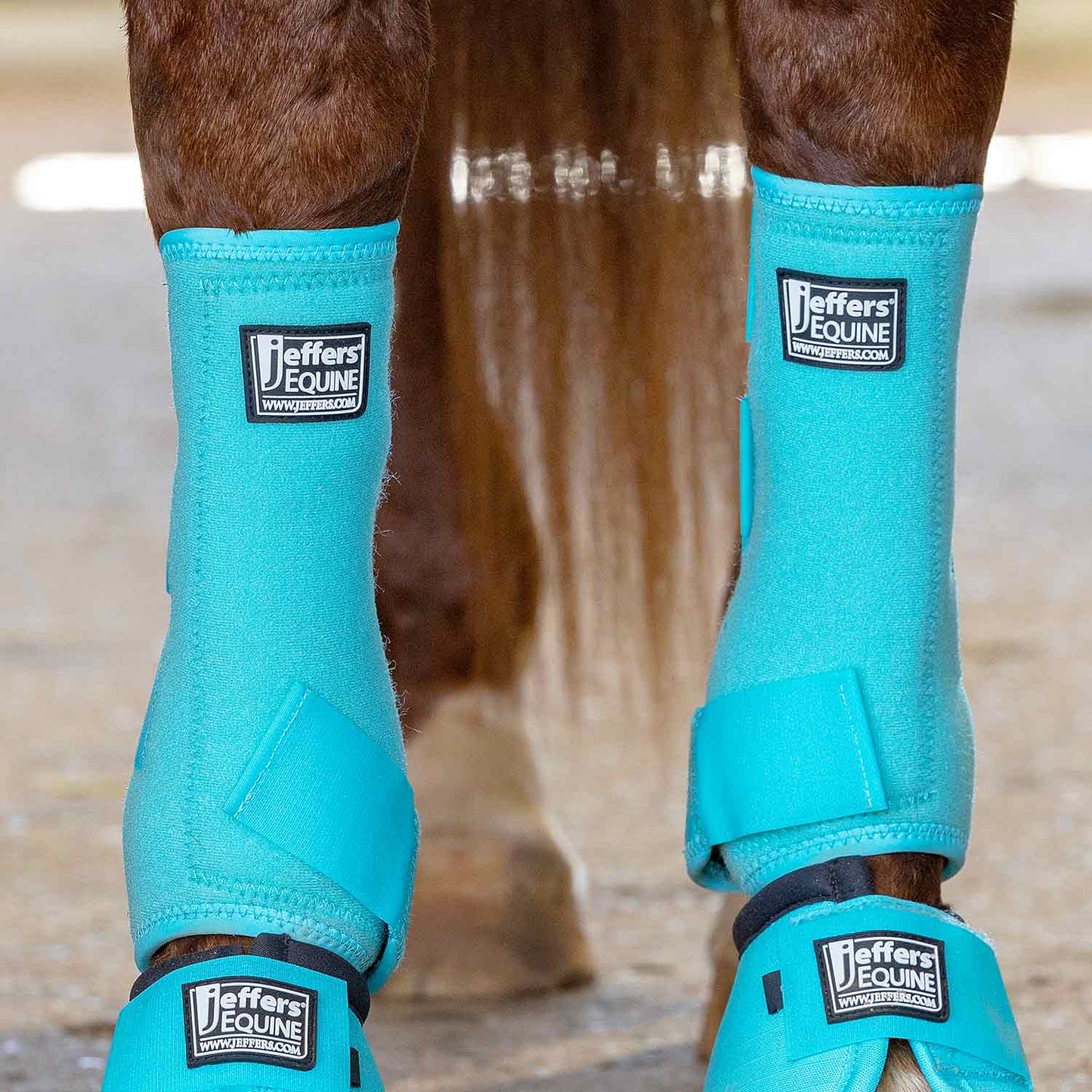 Jeffers Protective Horse Boots, Solid Colors - FRONT ONLY