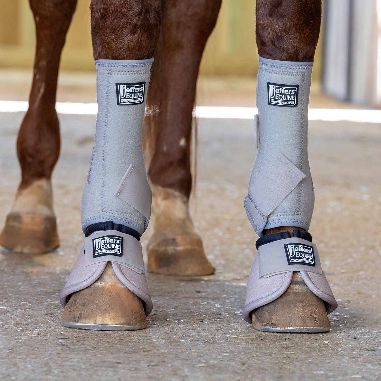 Jeffers Protective Horse Boots, Solid Colors - FRONT ONLY