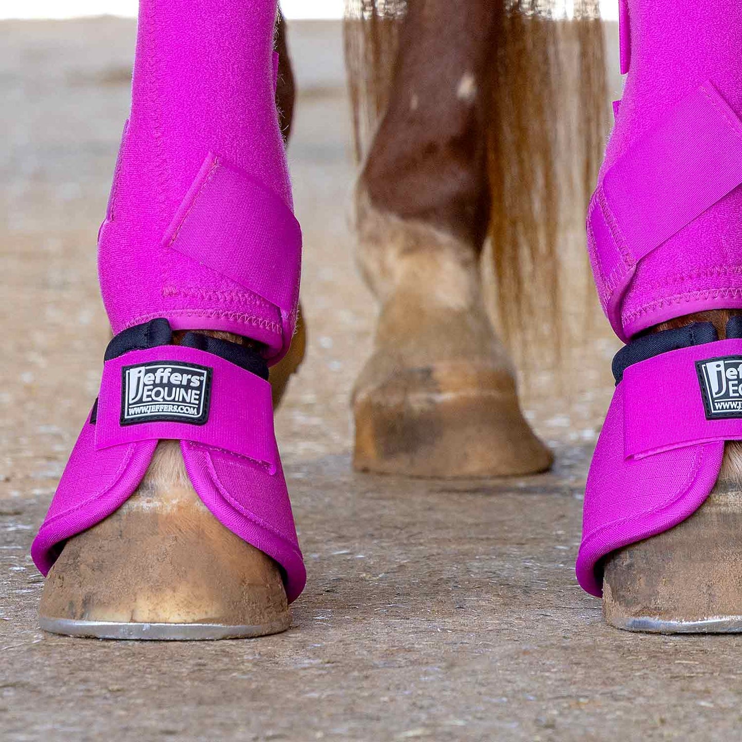 Jeffers Protective Horse Boots, Solid Colors - FRONT ONLY