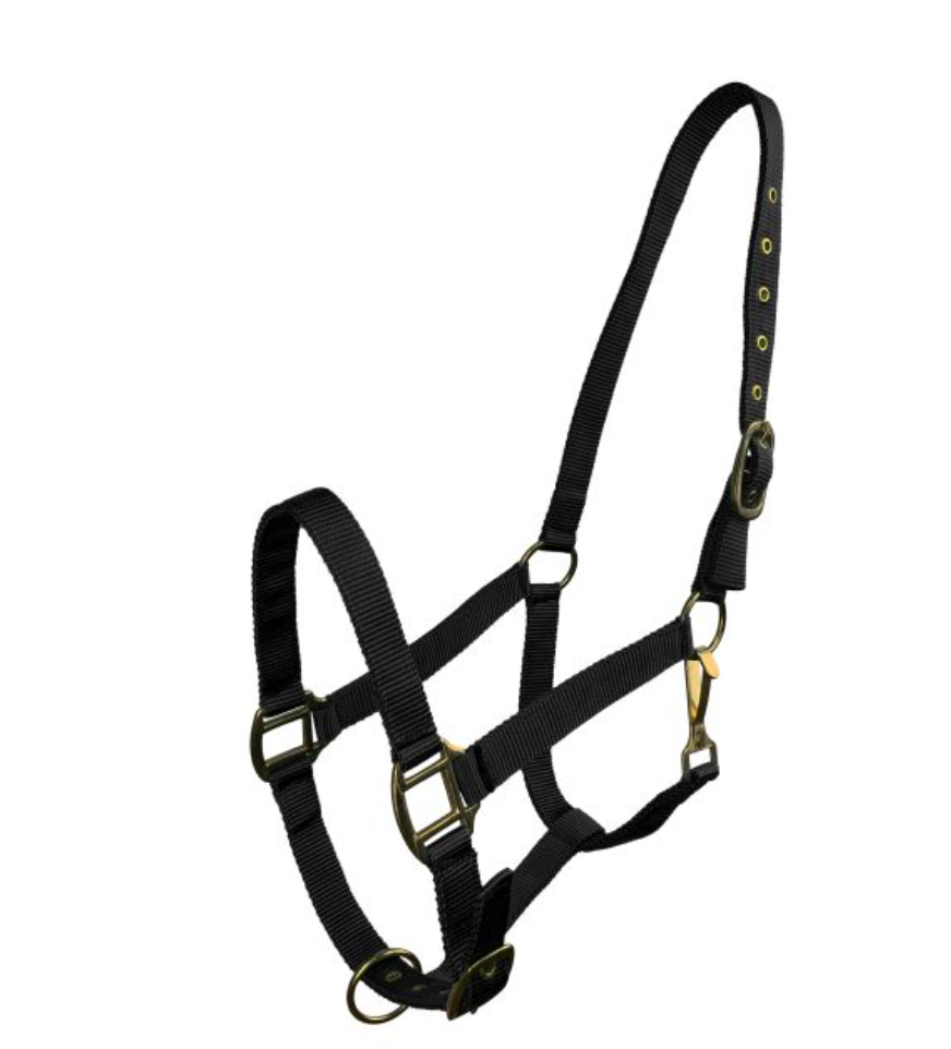 Horse Size Triple Ply Nylon Halter with Brass Hardware