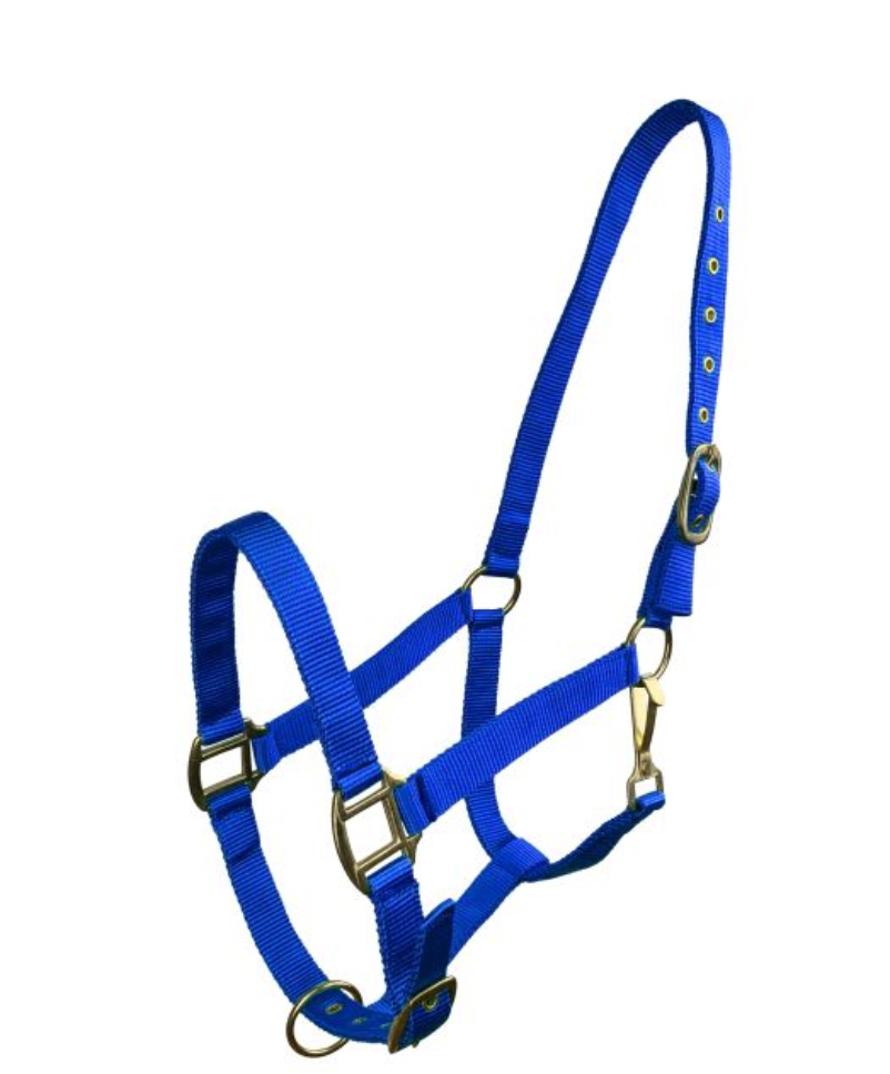Horse Size Triple Ply Nylon Halter with Brass Hardware