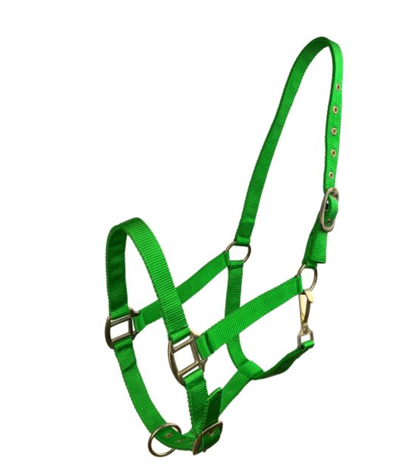 Horse Size Triple Ply Nylon Halter with Brass Hardware