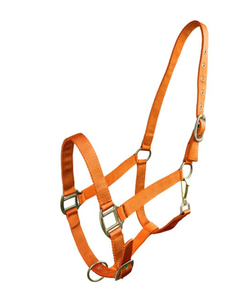 Horse Size Triple Ply Nylon Halter with Brass Hardware