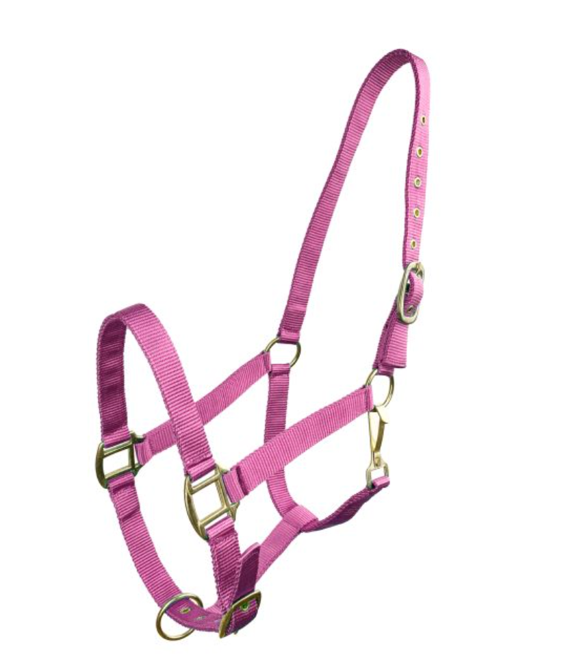 Horse Size Triple Ply Nylon Halter with Brass Hardware