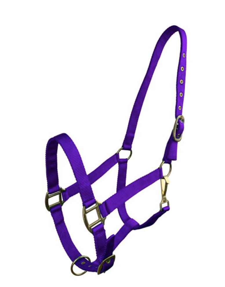 Horse Size Triple Ply Nylon Halter with Brass Hardware