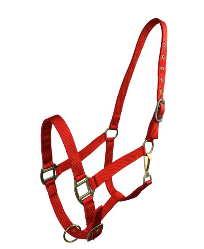 Horse Size Triple Ply Nylon Halter with Brass Hardware