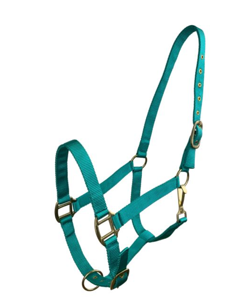 Horse Size Triple Ply Nylon Halter with Brass Hardware
