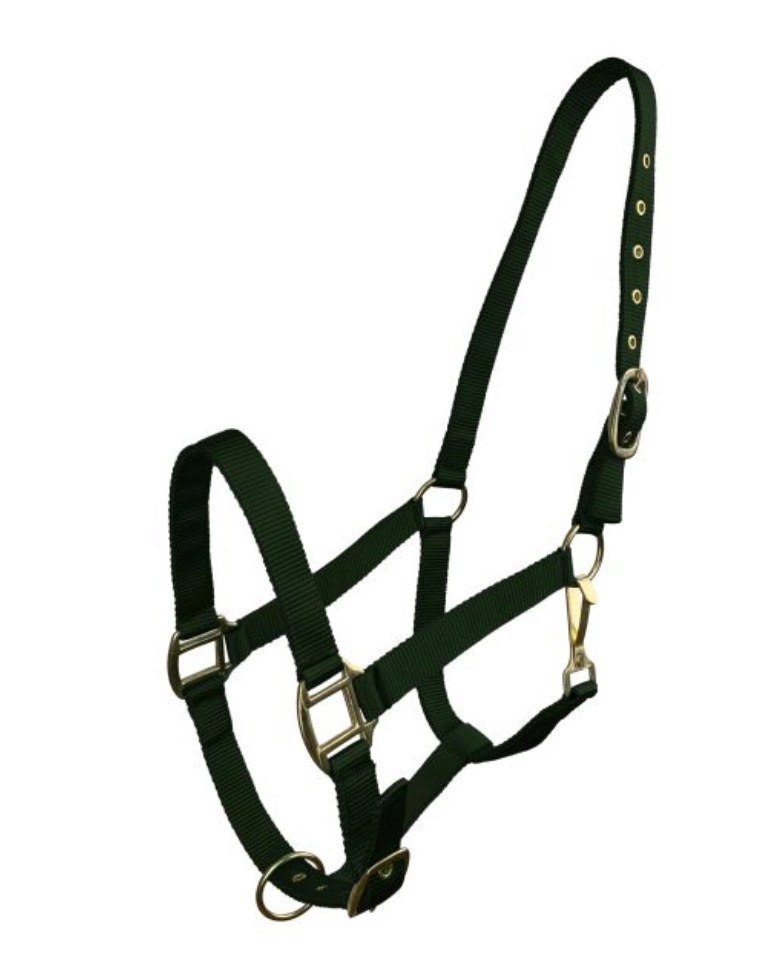 Horse Size Triple Ply Nylon Halter with Brass Hardware