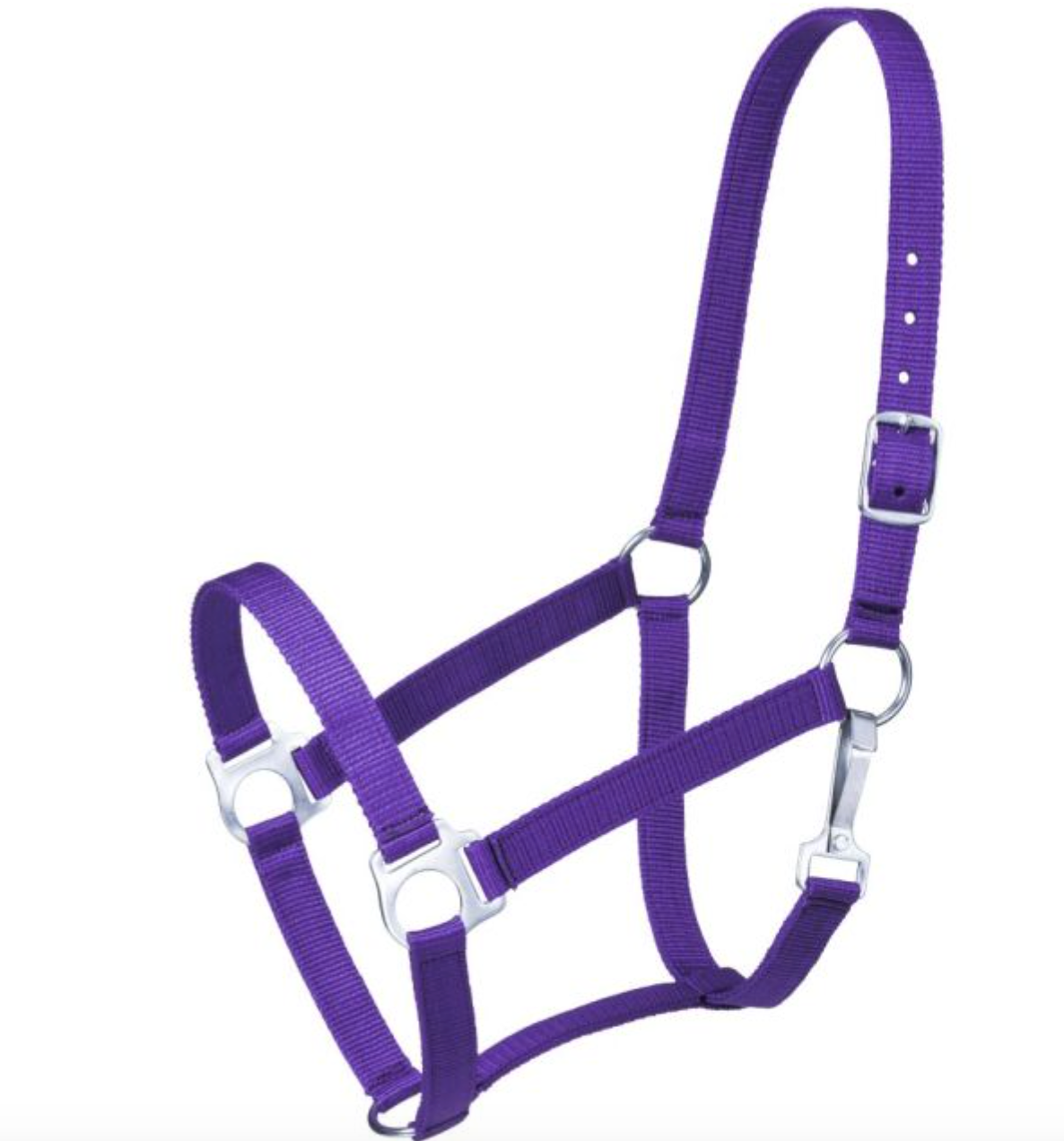Tough1 Economy PONY Halter